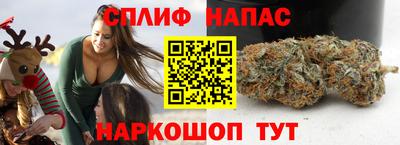 a pvp Новозыбков