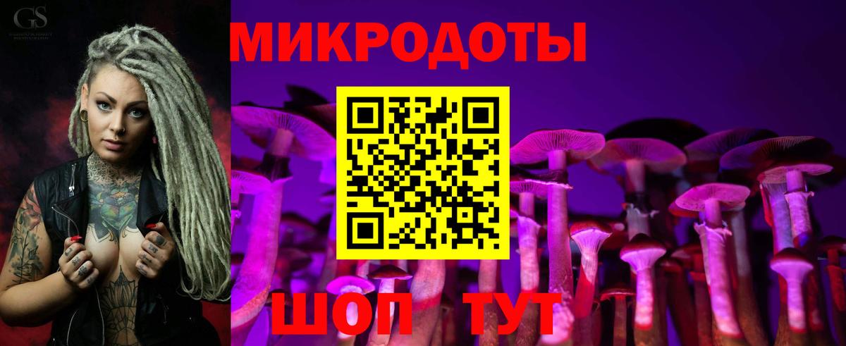 Краснотурьинск  как найти закладки  Вход с VPN  Псилоцибиновые грибы Psilocybe 